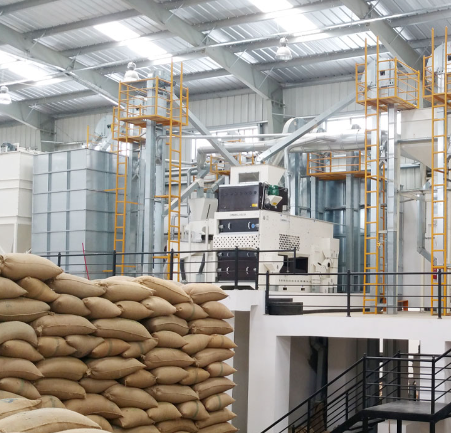 Dry Coffee Processing, Packaging & Shipping