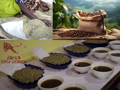 Kummul 'B' Premium Green Coffee Beans