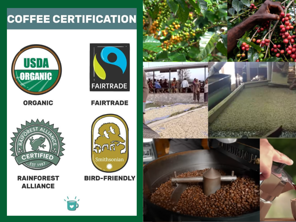 Fairtrade Certified Coffee Beans